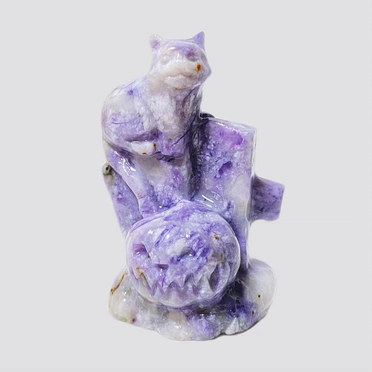 Cat with pumpkin carving