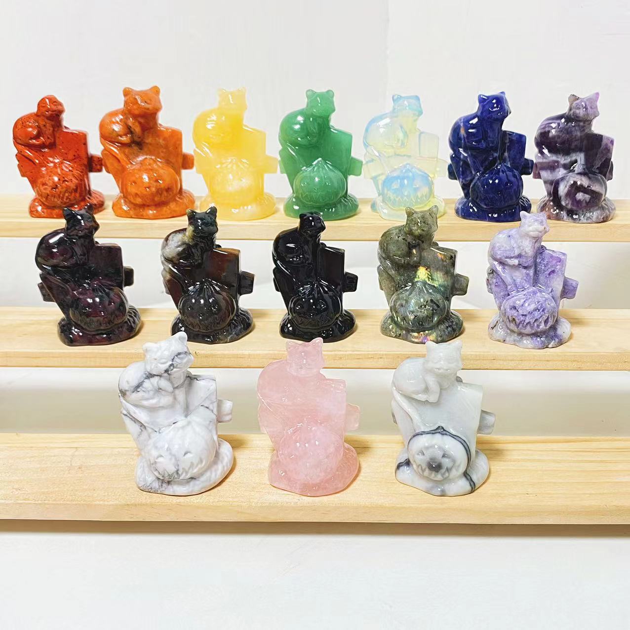 Cat with pumpkin carving