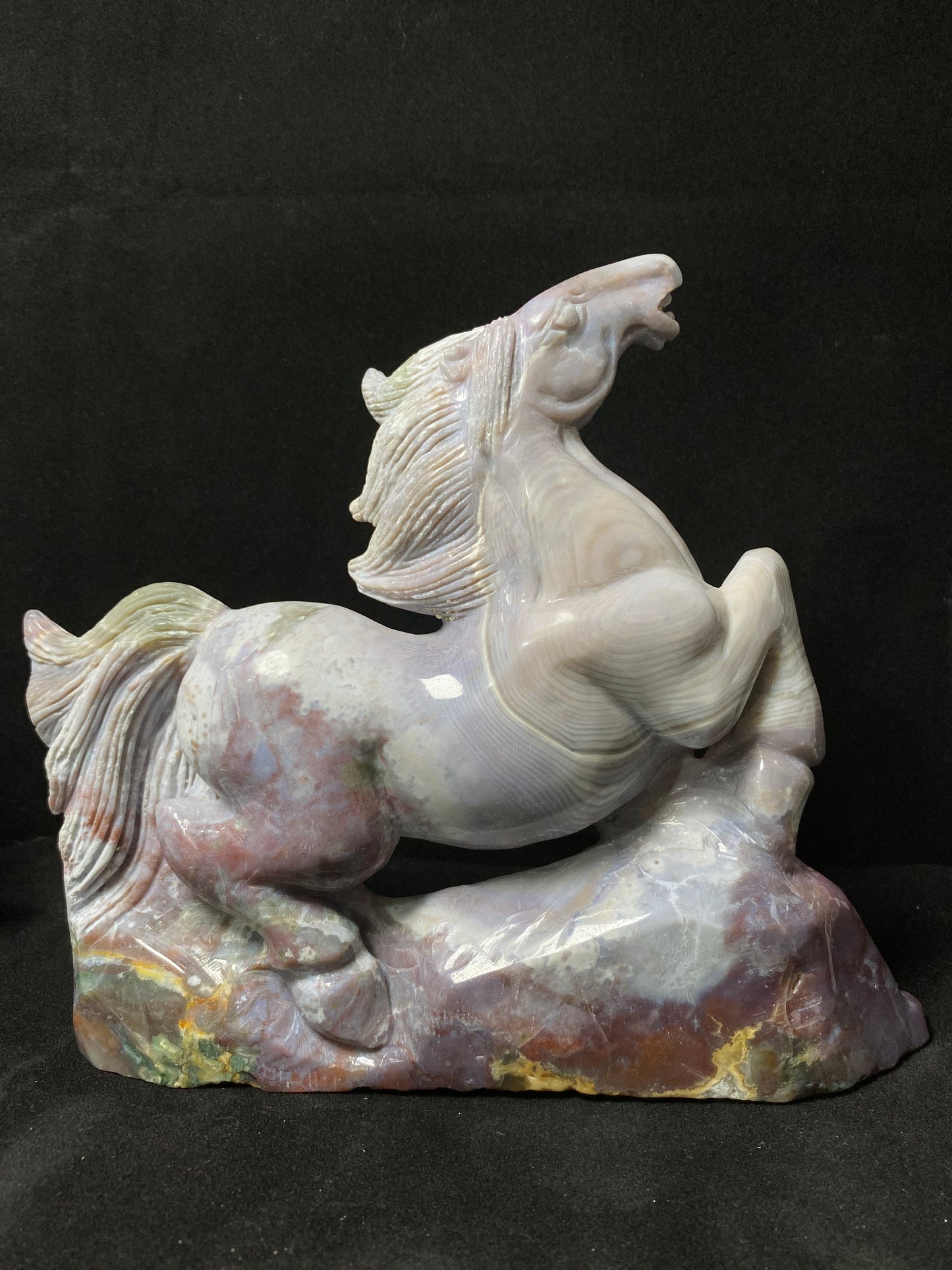 Ocean jasper horse #1936