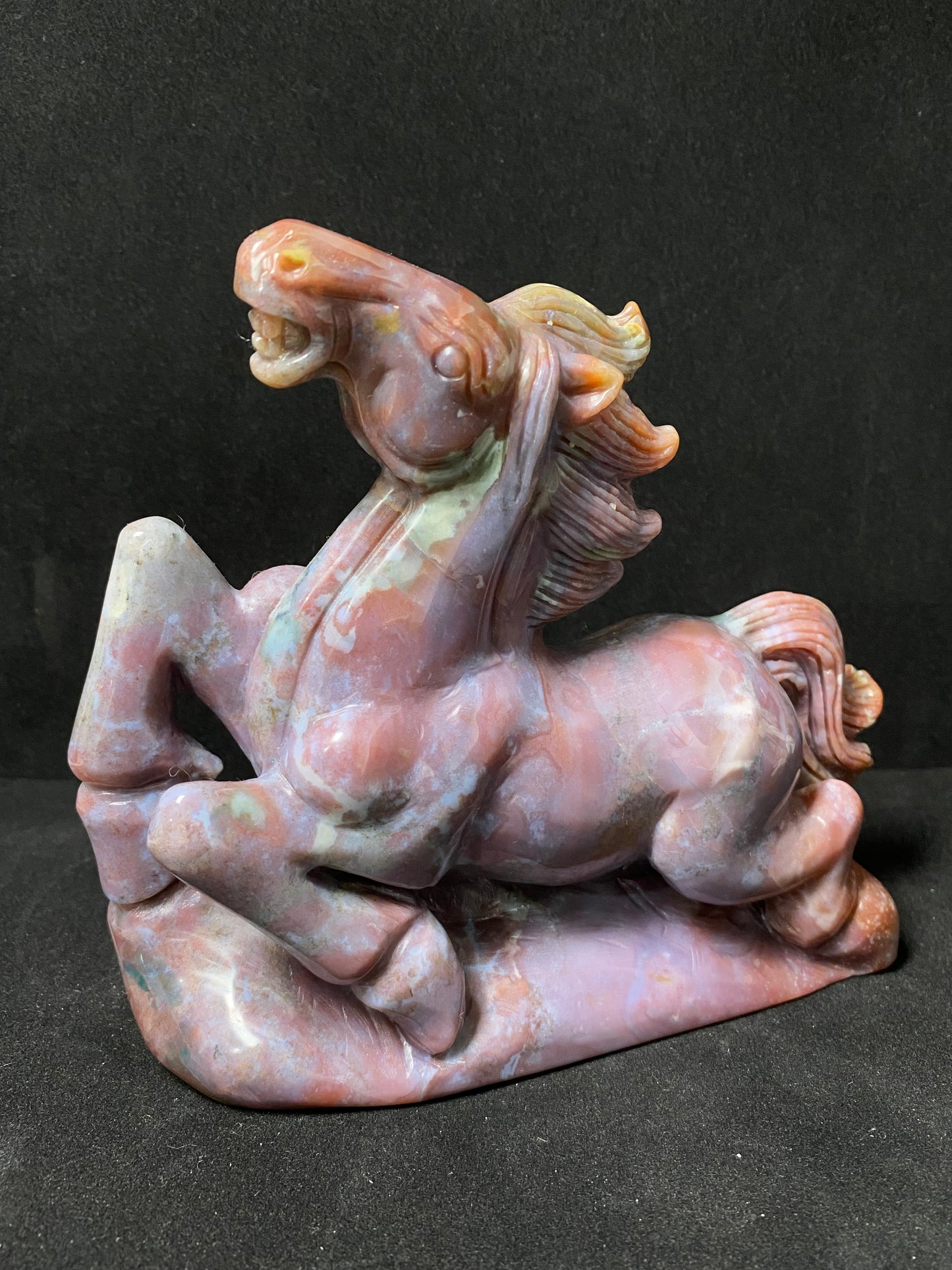 Ocean jasper horse #1169