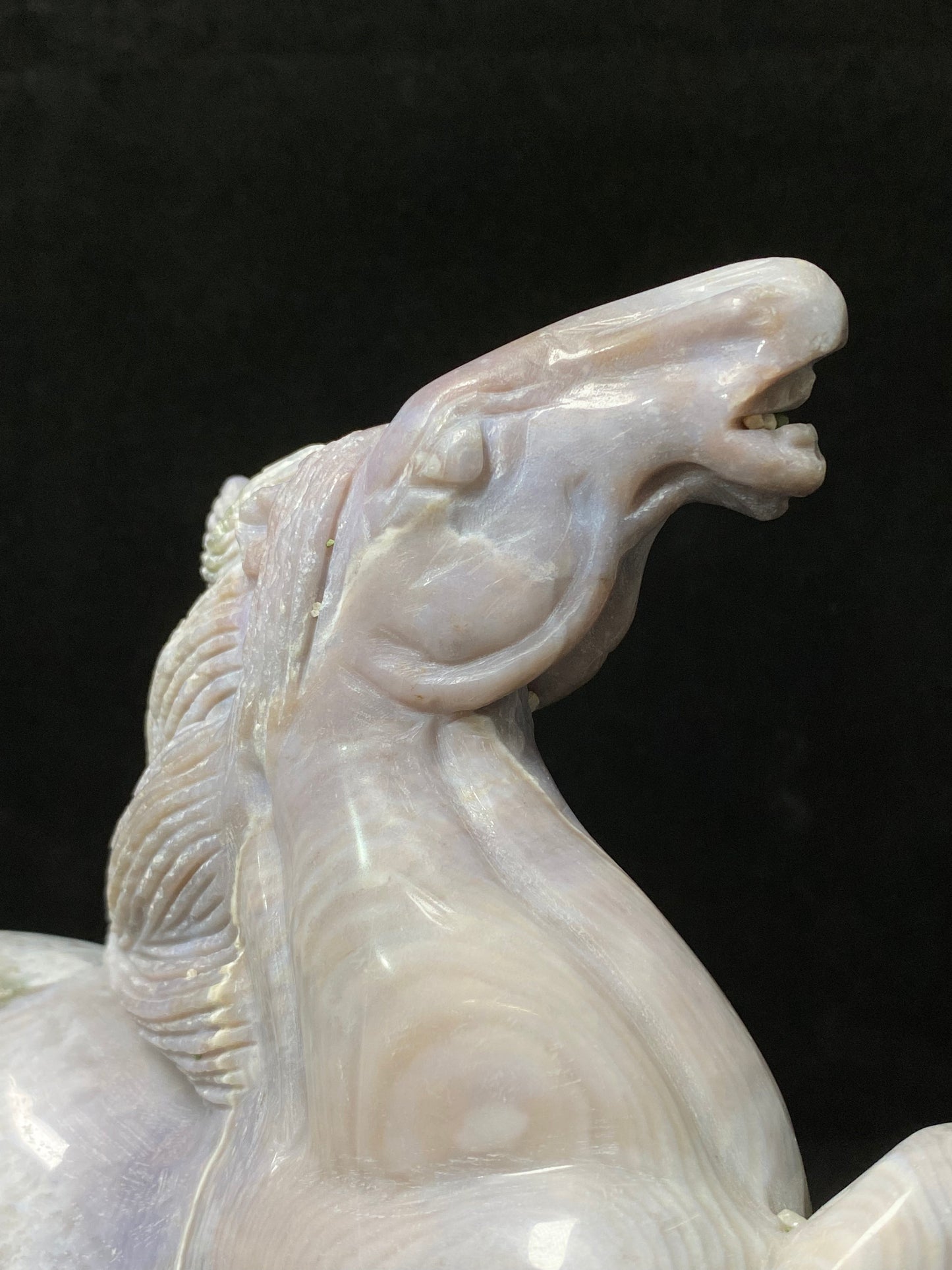 Ocean jasper horse #1936