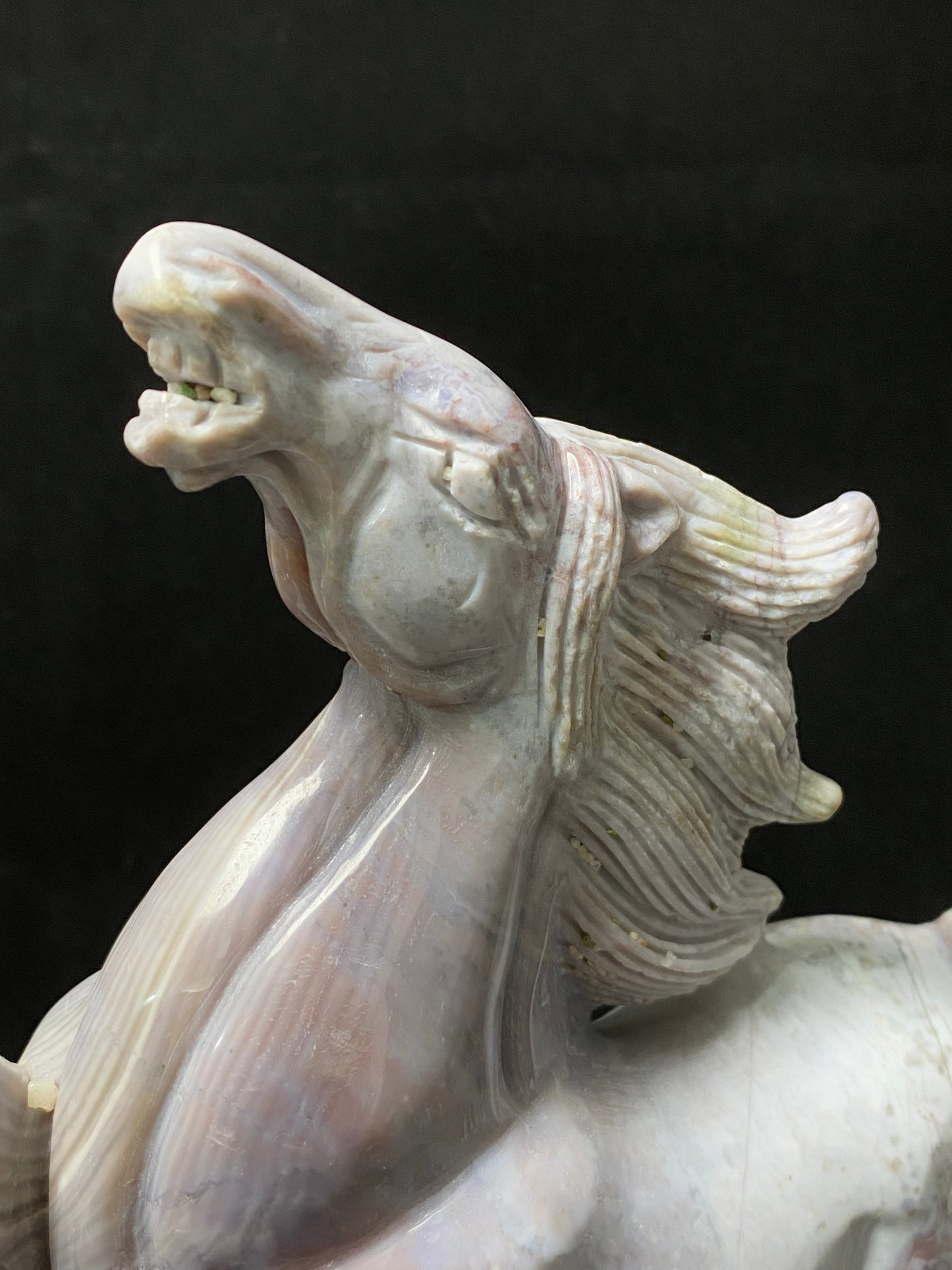 Ocean jasper horse #1936