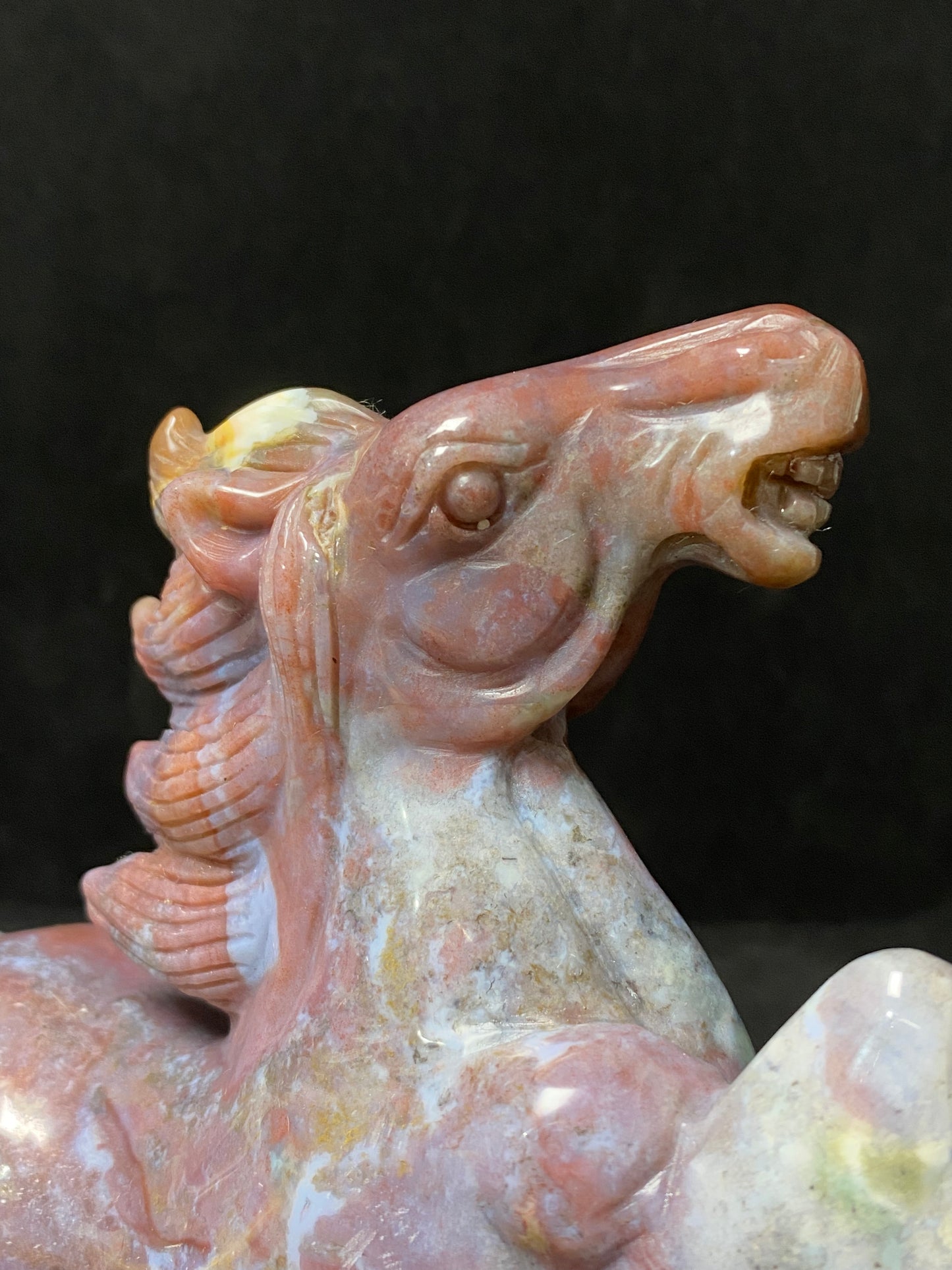 Ocean jasper horse #1169