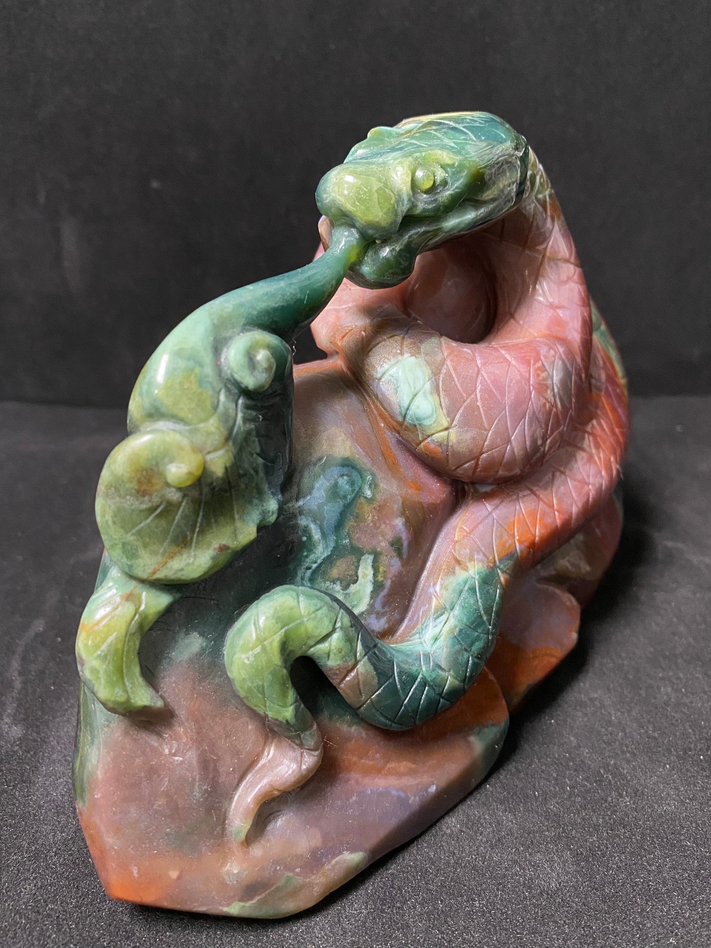 Ocean jasper snake on stone#1300