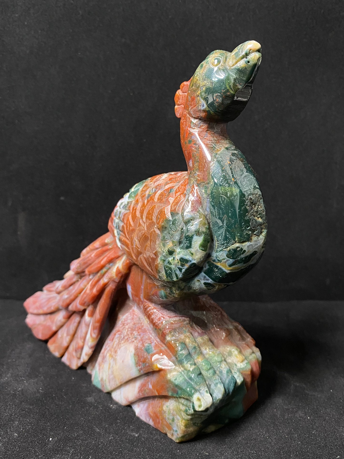 Ocean jasper peacock #1300