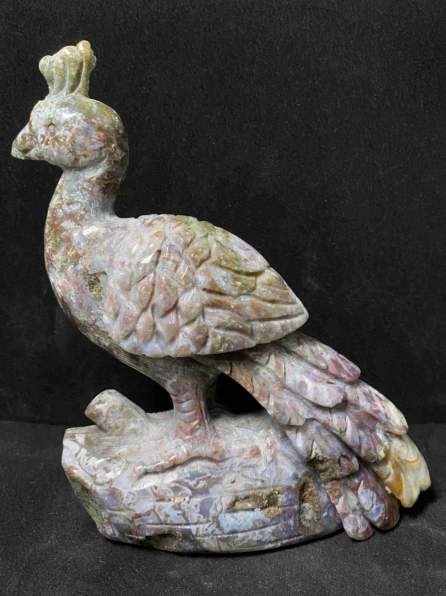 Ocean jasper peacock #1170