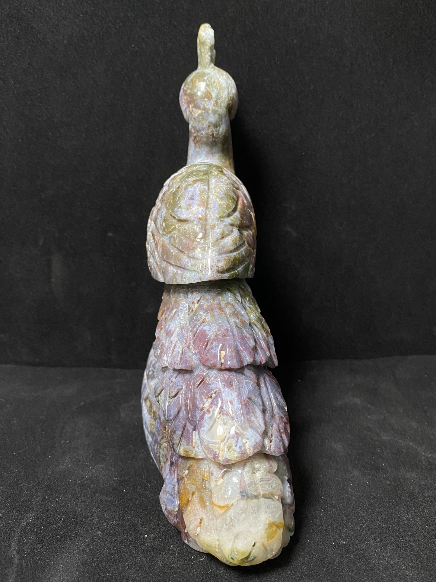 Ocean jasper peacock #1170