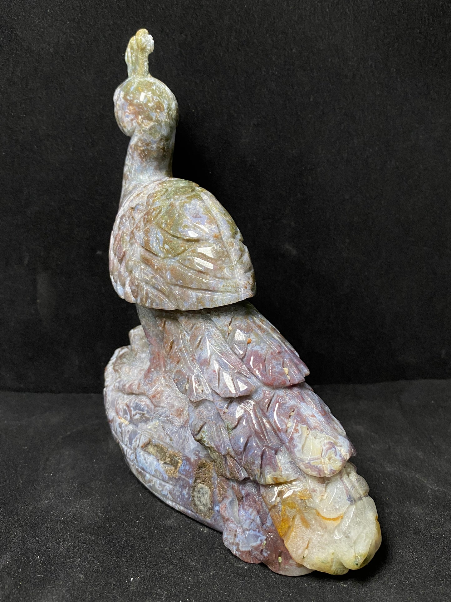 Ocean jasper peacock #1170