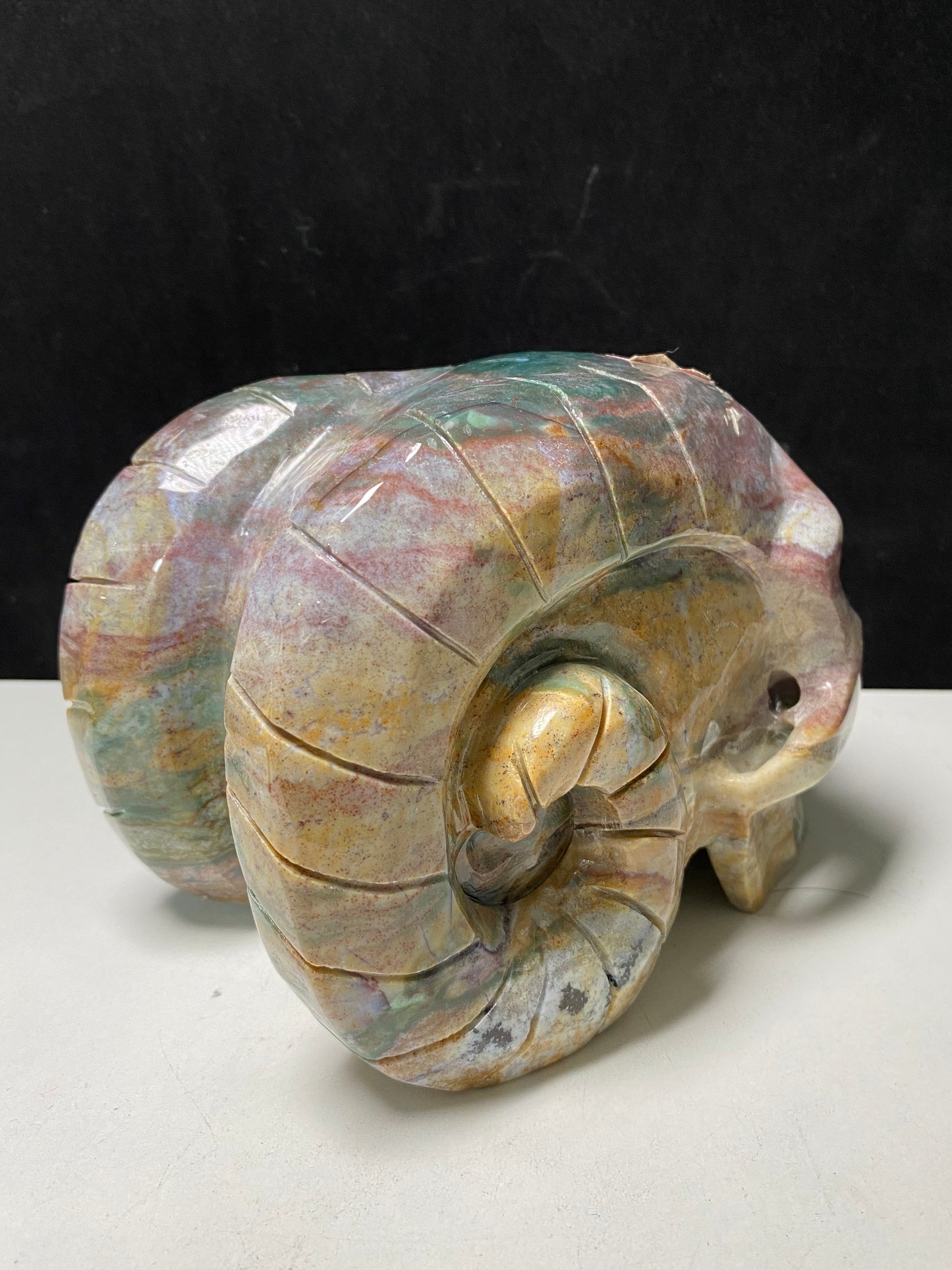 108-Ocean jasper ram skull #2735