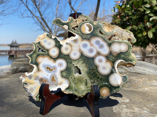 High quality ocean jasper slab #0651