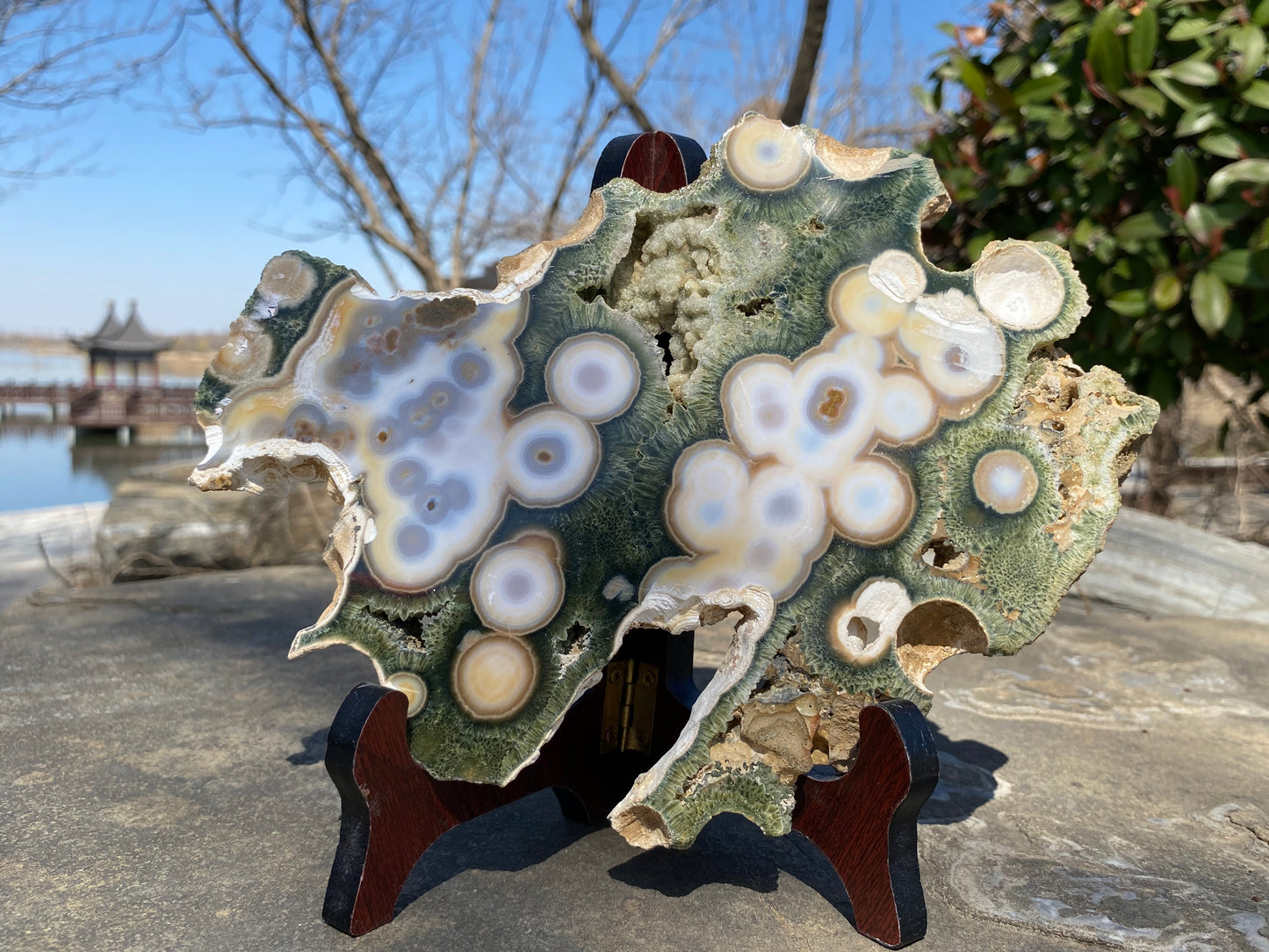 High quality ocean jasper slab #0651