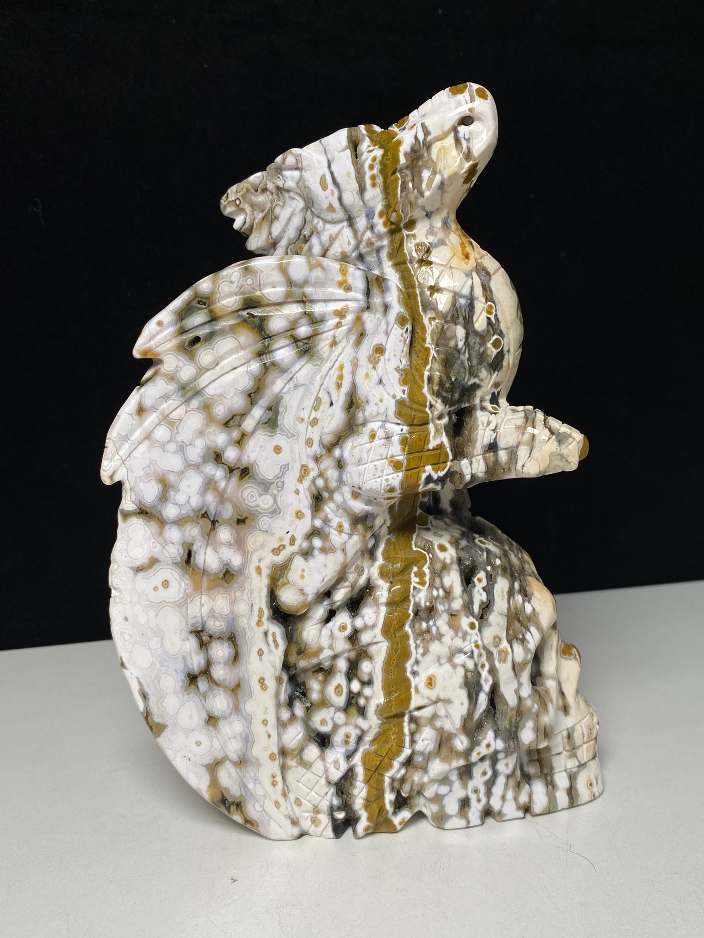 068-Ocean jasper with circles flying dragon on skull carving #1570