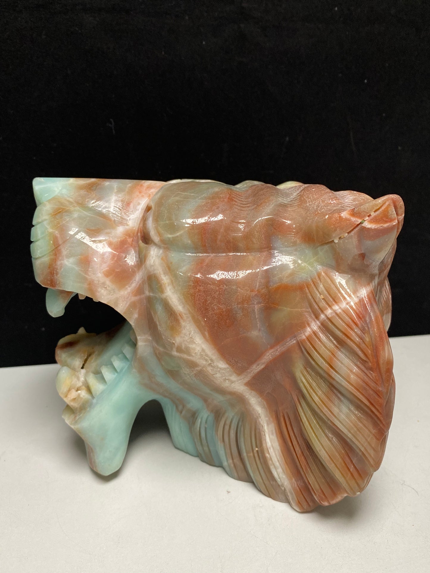 Caribbean calcite tiger head #4581