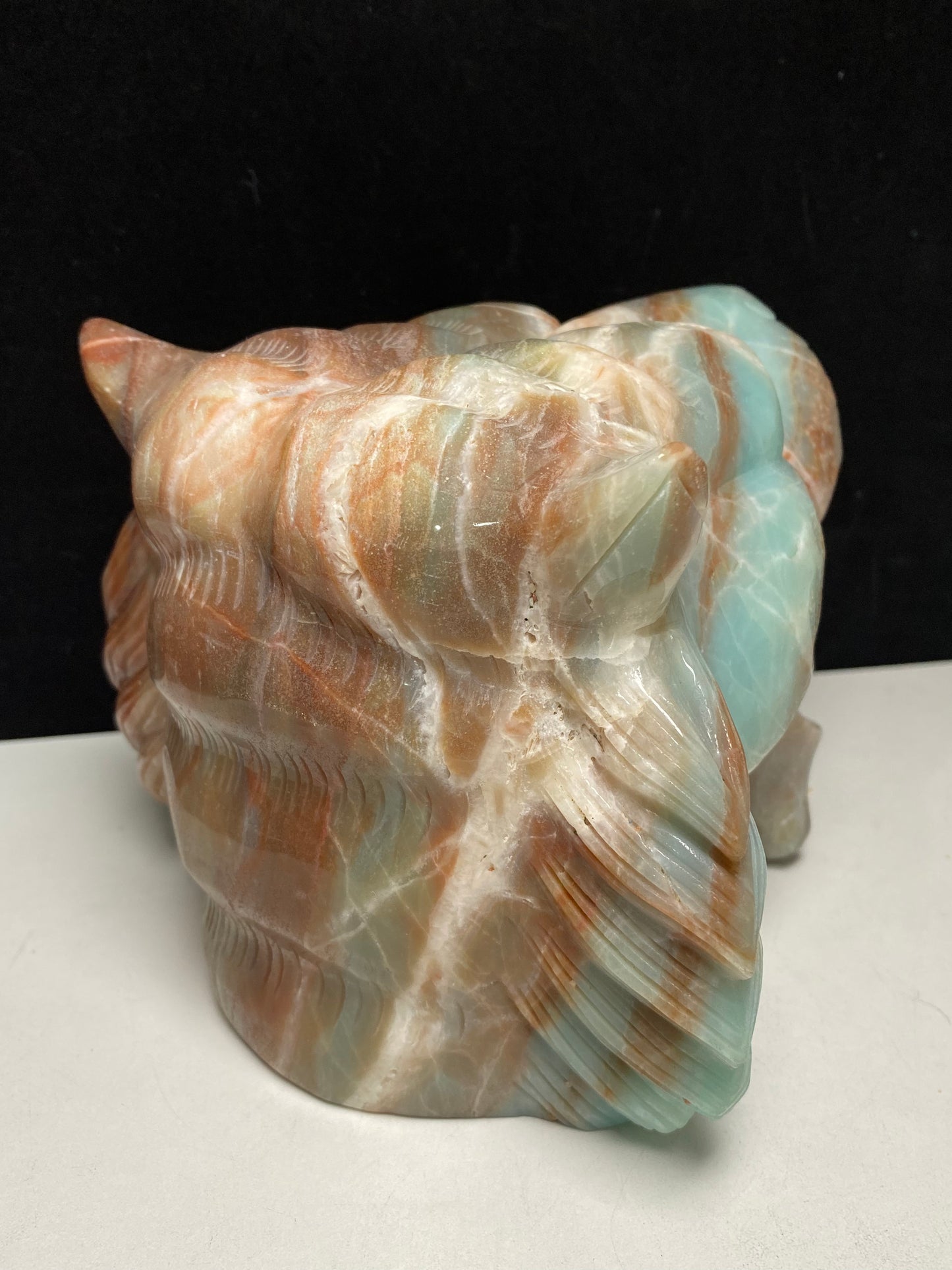 Caribbean calcite tiger head #4581
