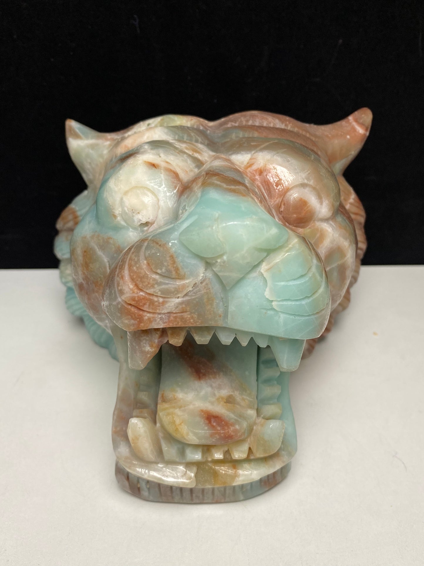 Caribbean calcite tiger head #4581
