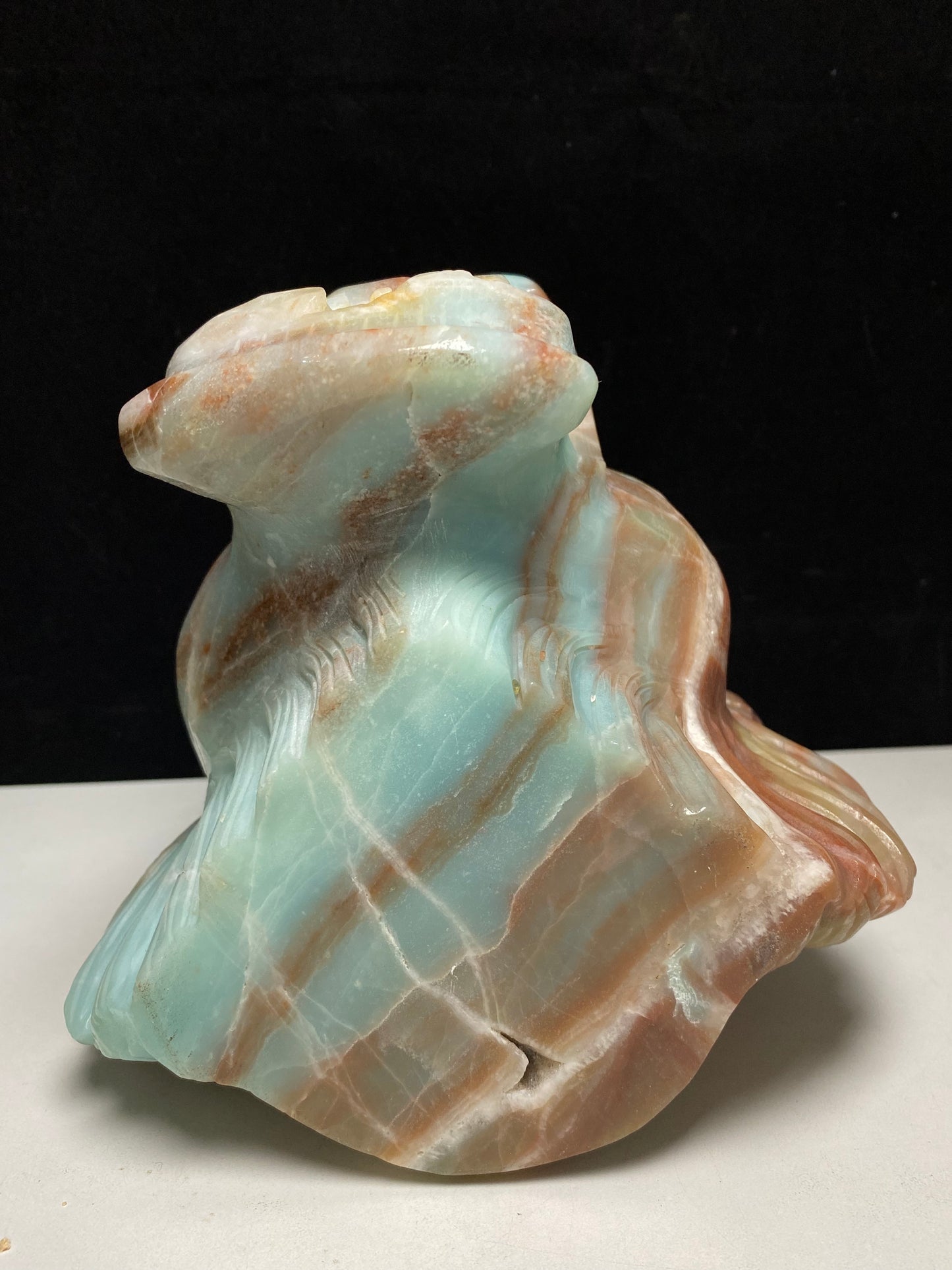 Caribbean calcite tiger head #4581