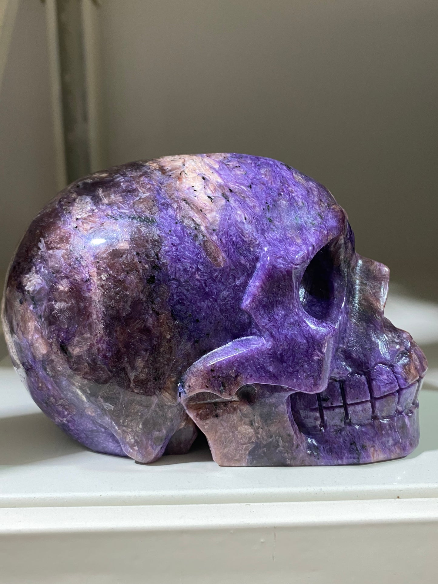 Chariote skull #1517