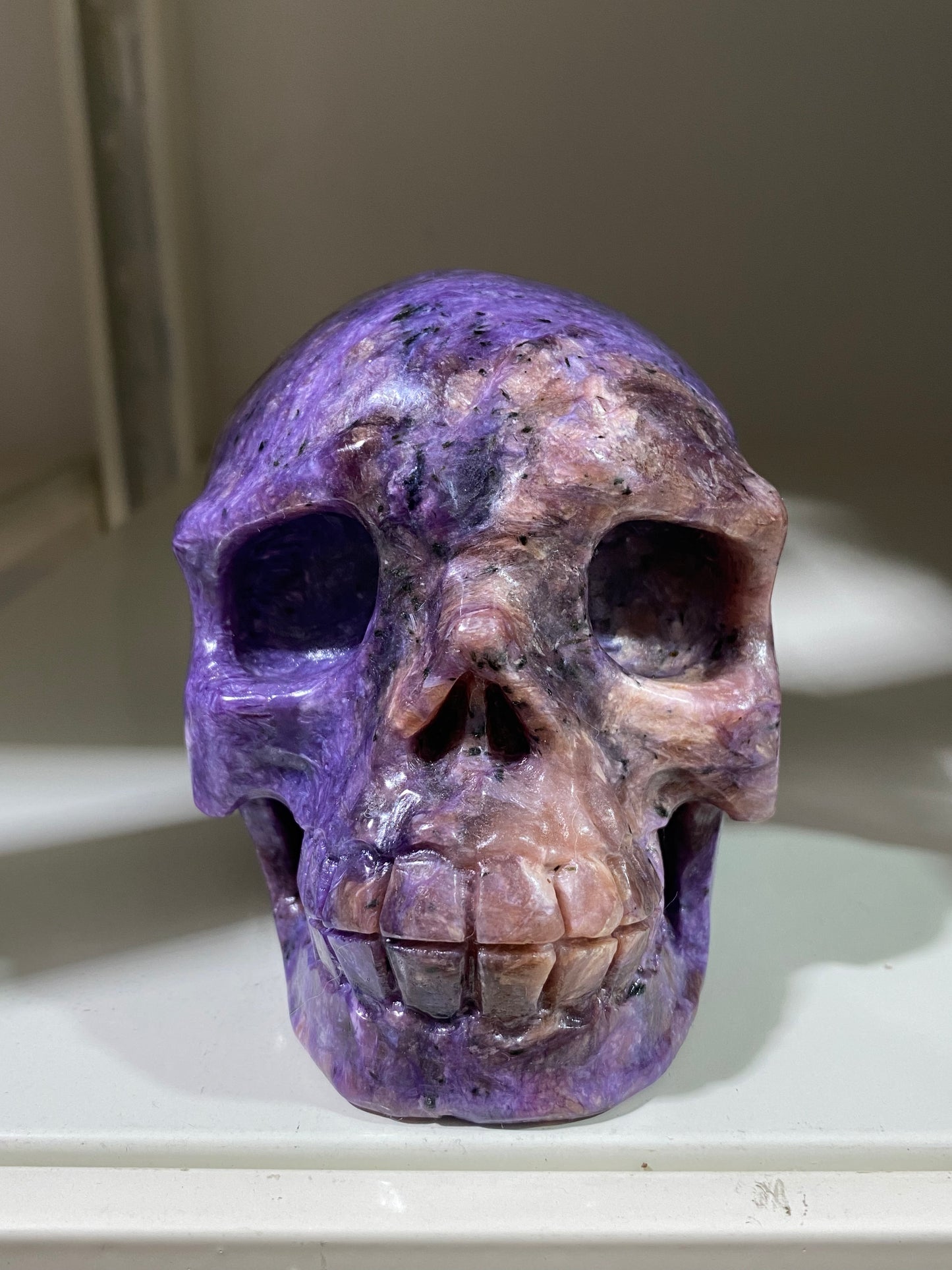 Chariote skull #1517