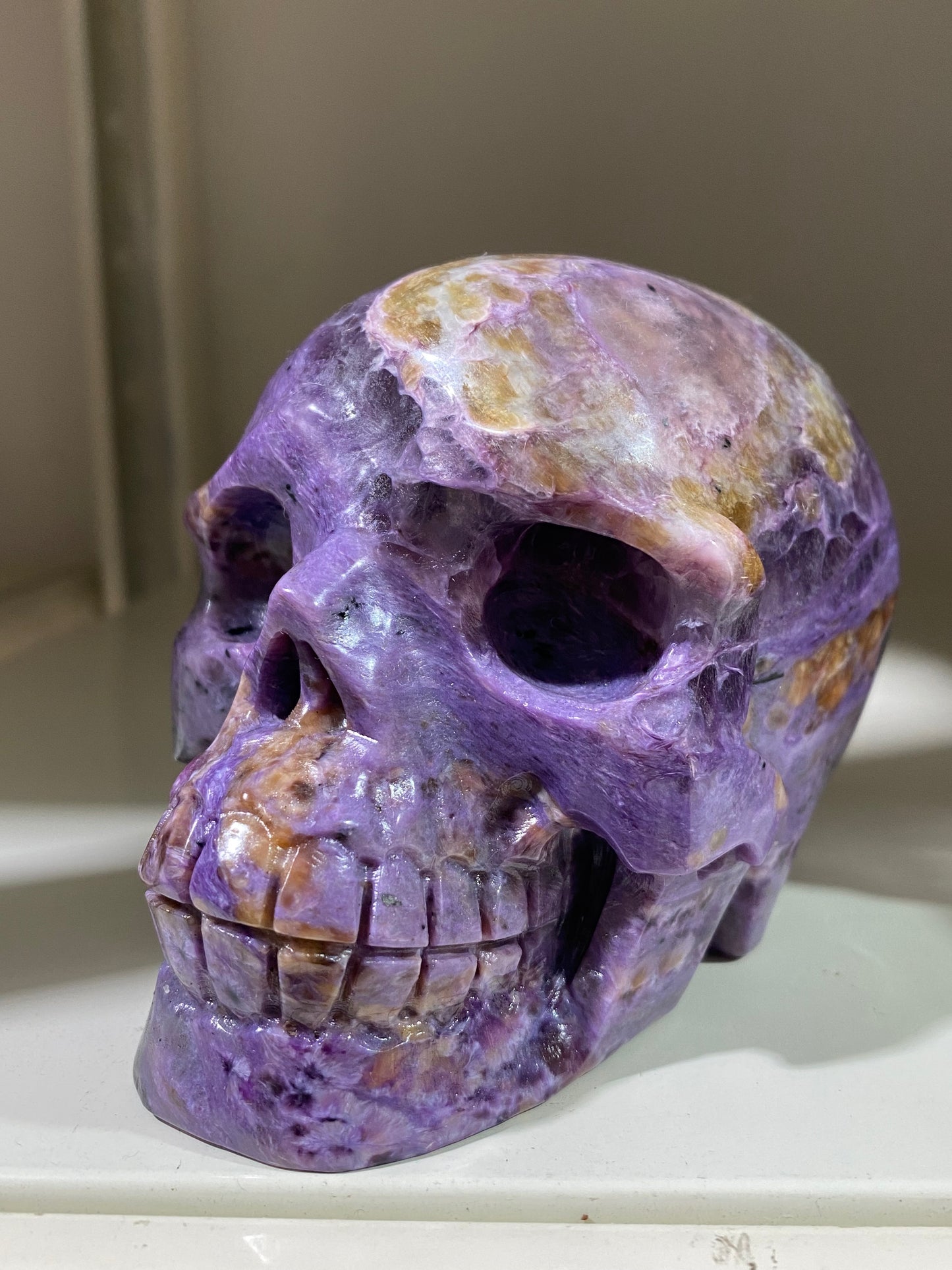 Chariote skull #1230