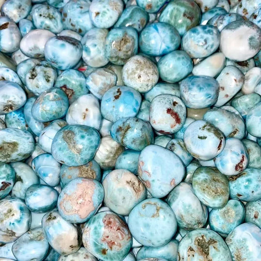 paylink of tiktok wukong home