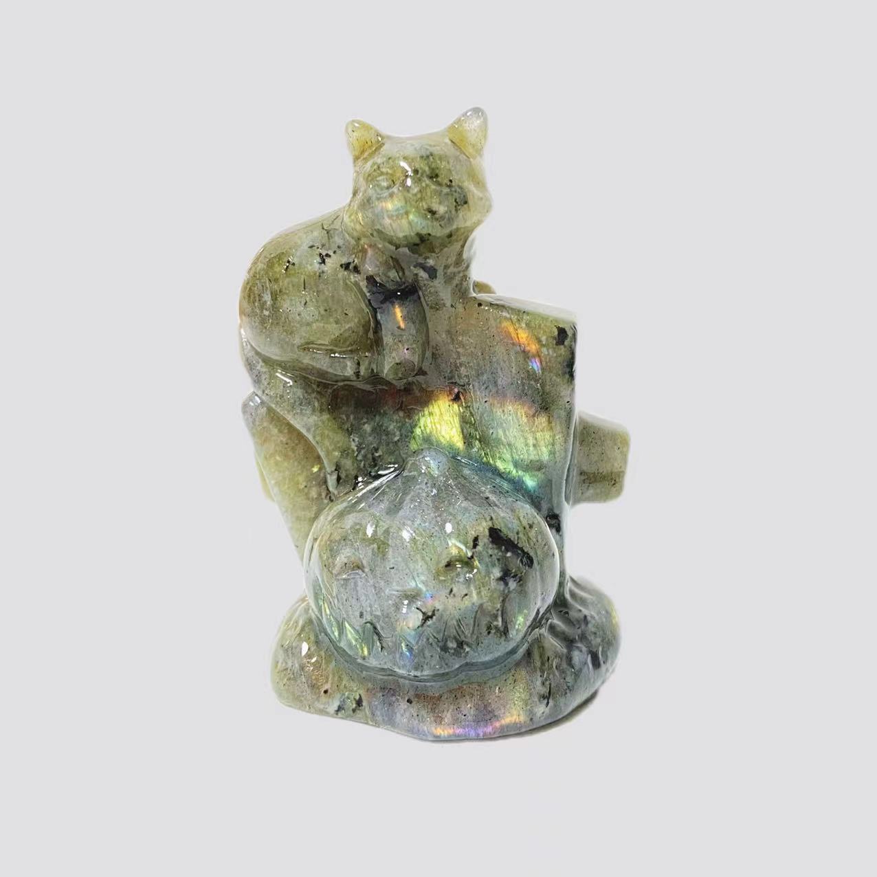 Cat with pumpkin carving