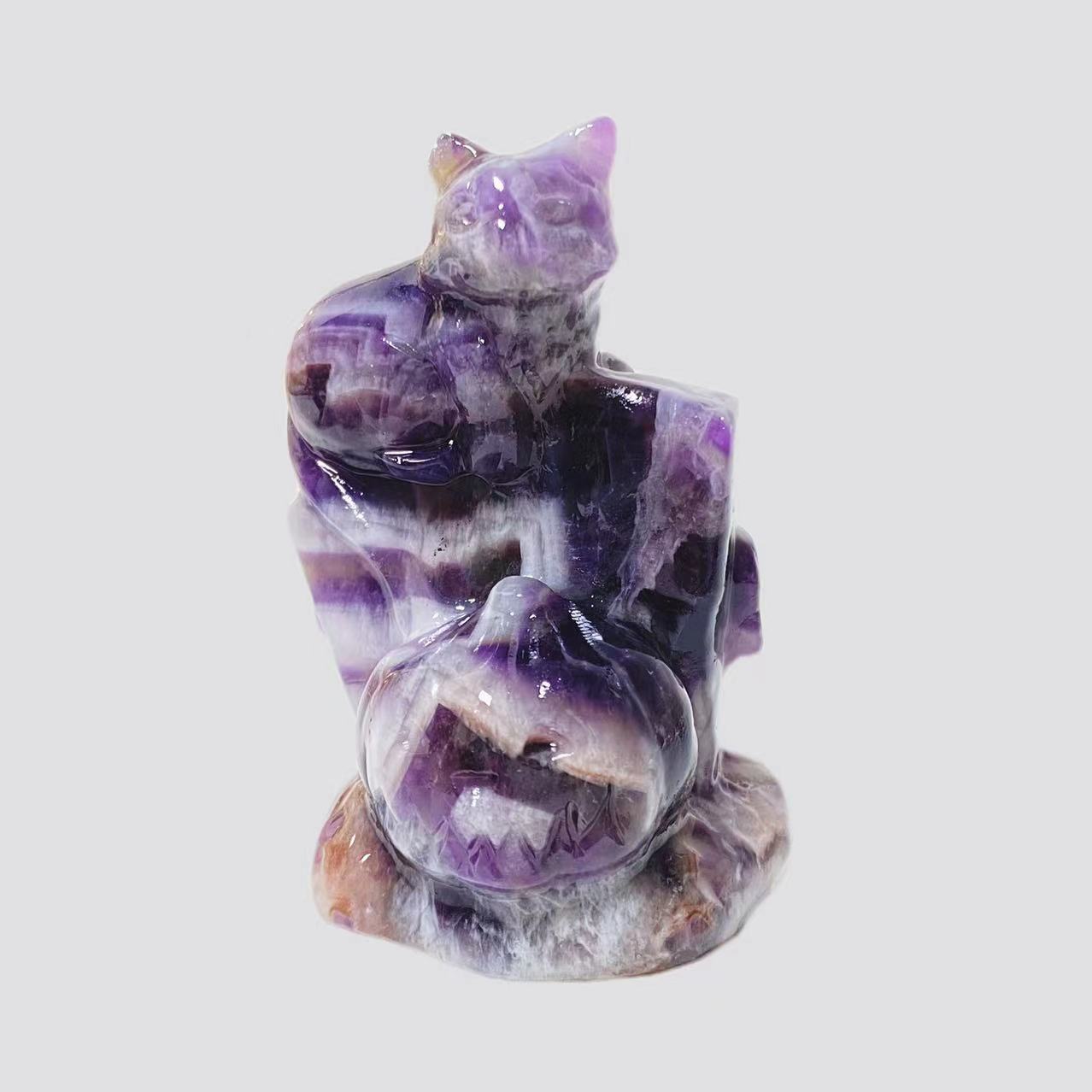 Cat with pumpkin carving