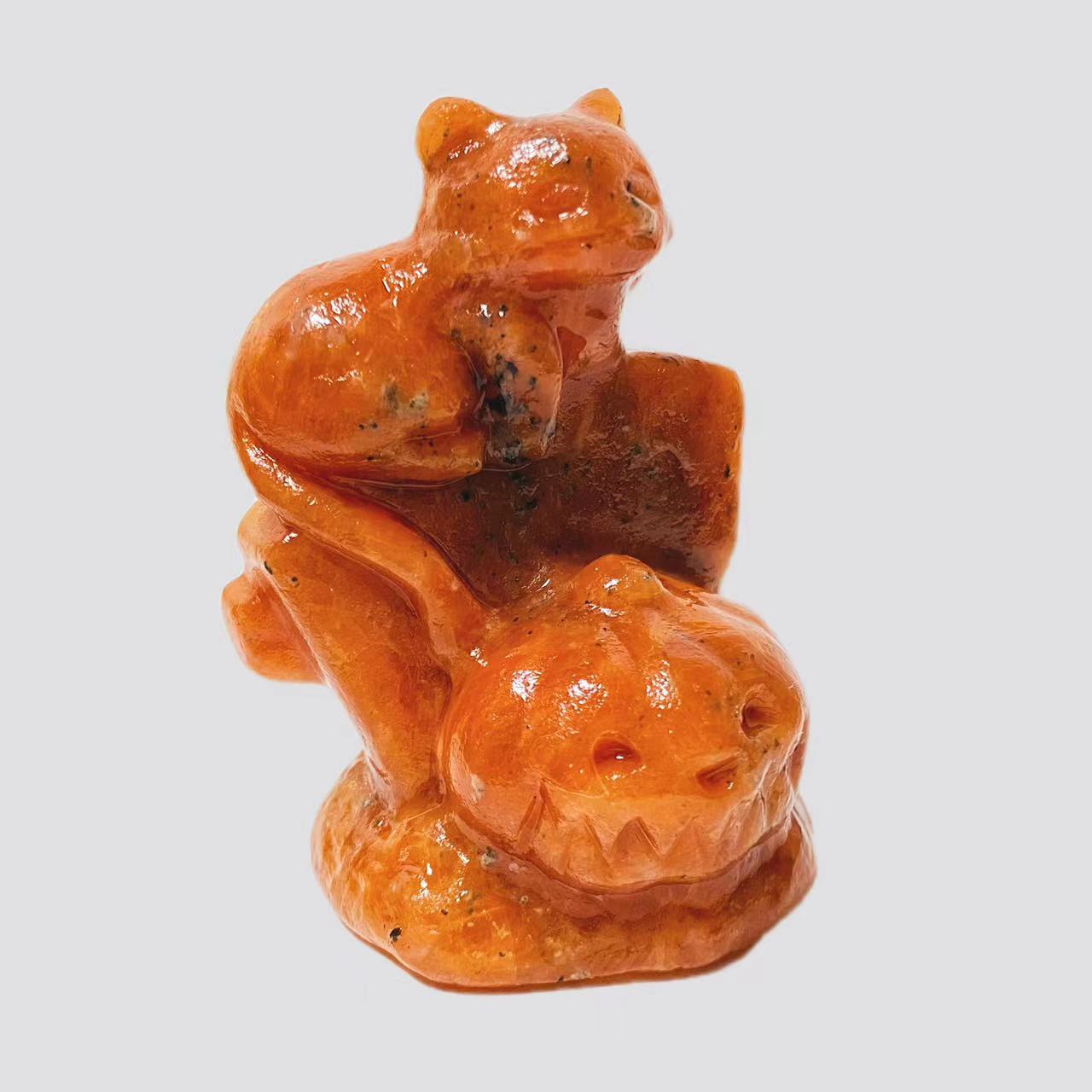 Cat with pumpkin carving