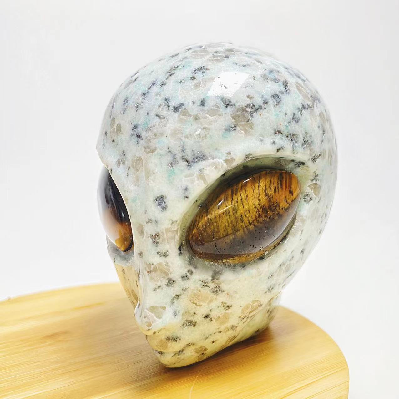 New alien head with tigers eye eyes