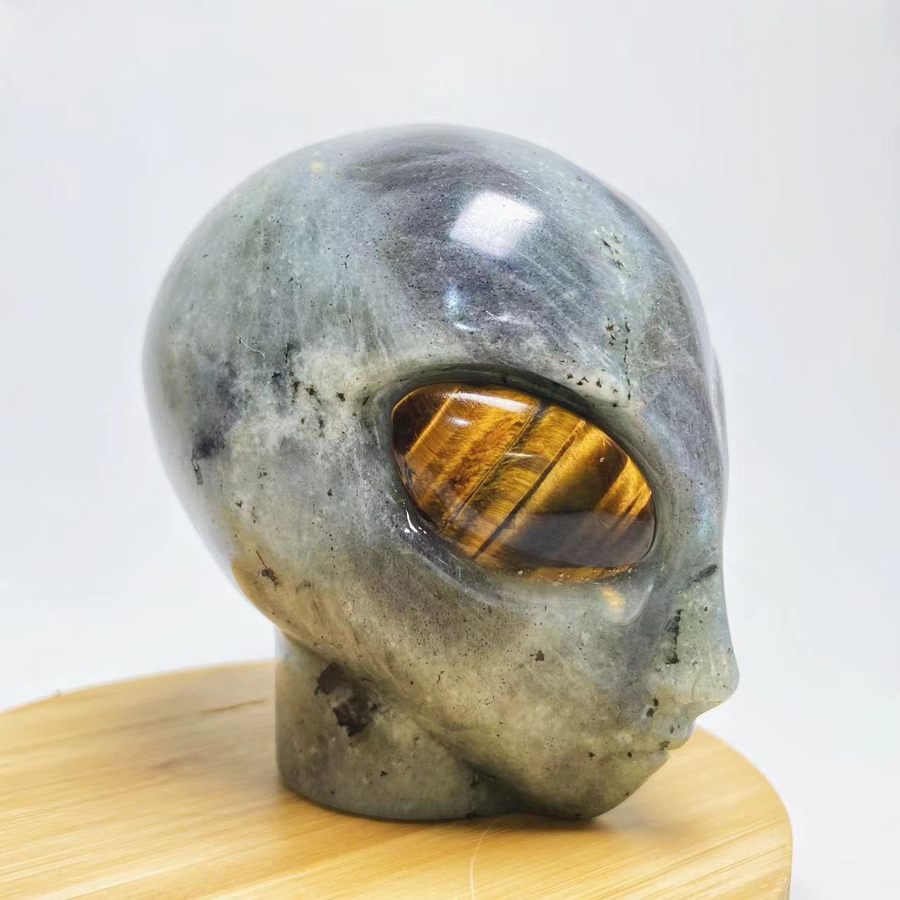 New alien head with tigers eye eyes