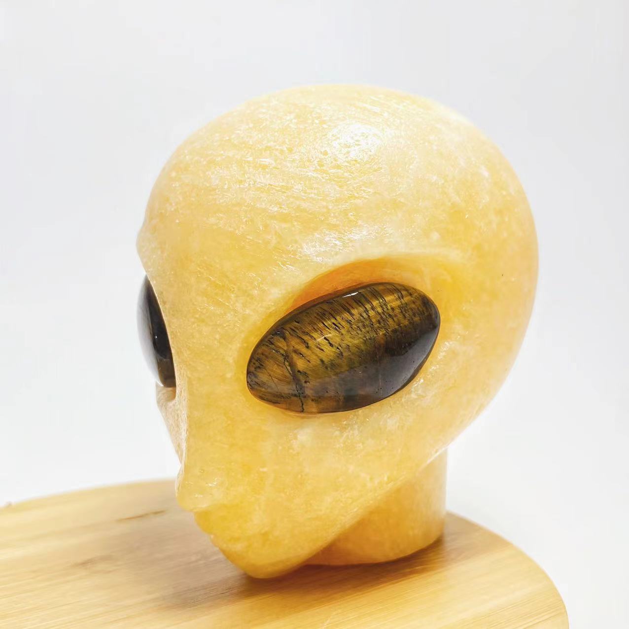 New alien head with tigers eye eyes