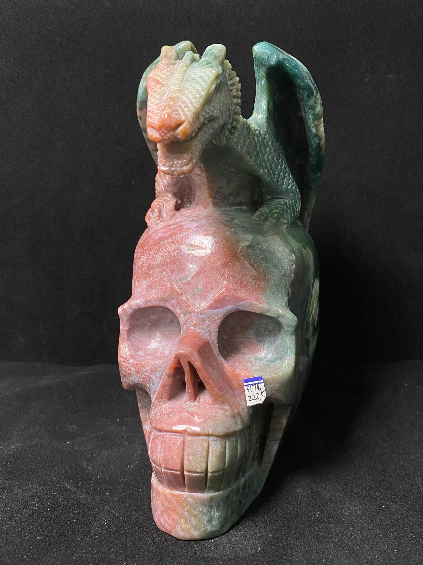 072-Ocean jasper flying dragon on skull #3178