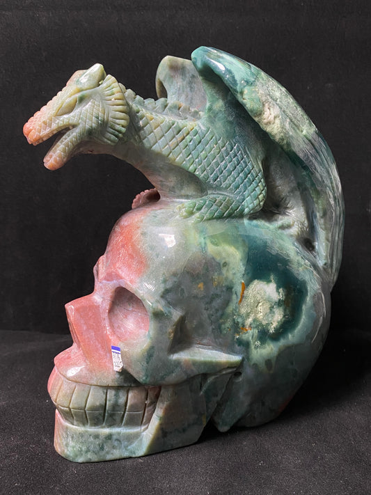 072-Ocean jasper flying dragon on skull #3178