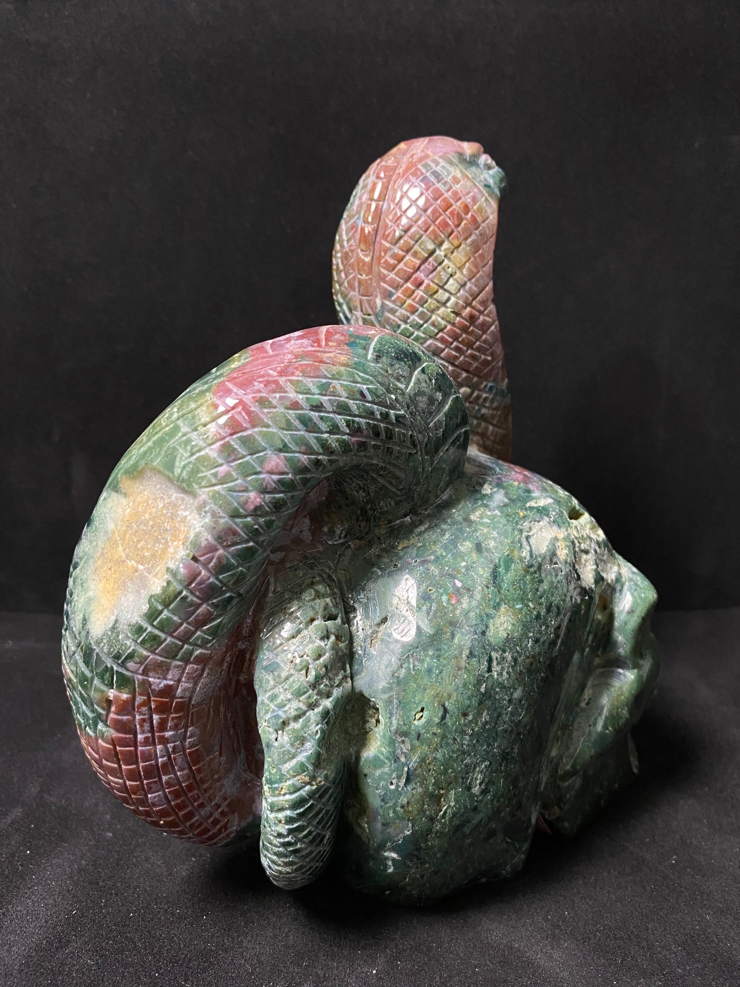 Ocean jasper skull with snake #1124