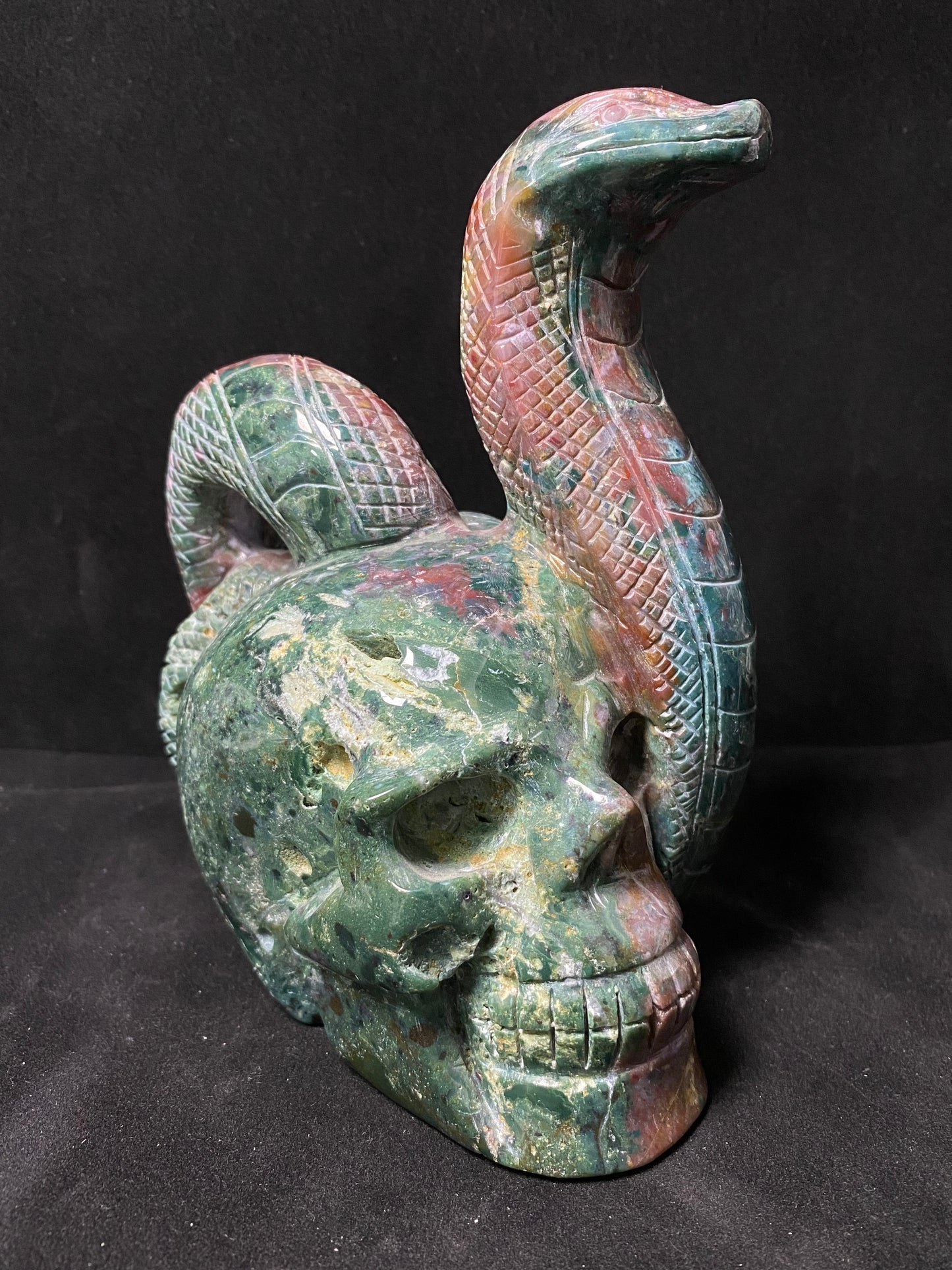 Ocean jasper skull with snake #1124