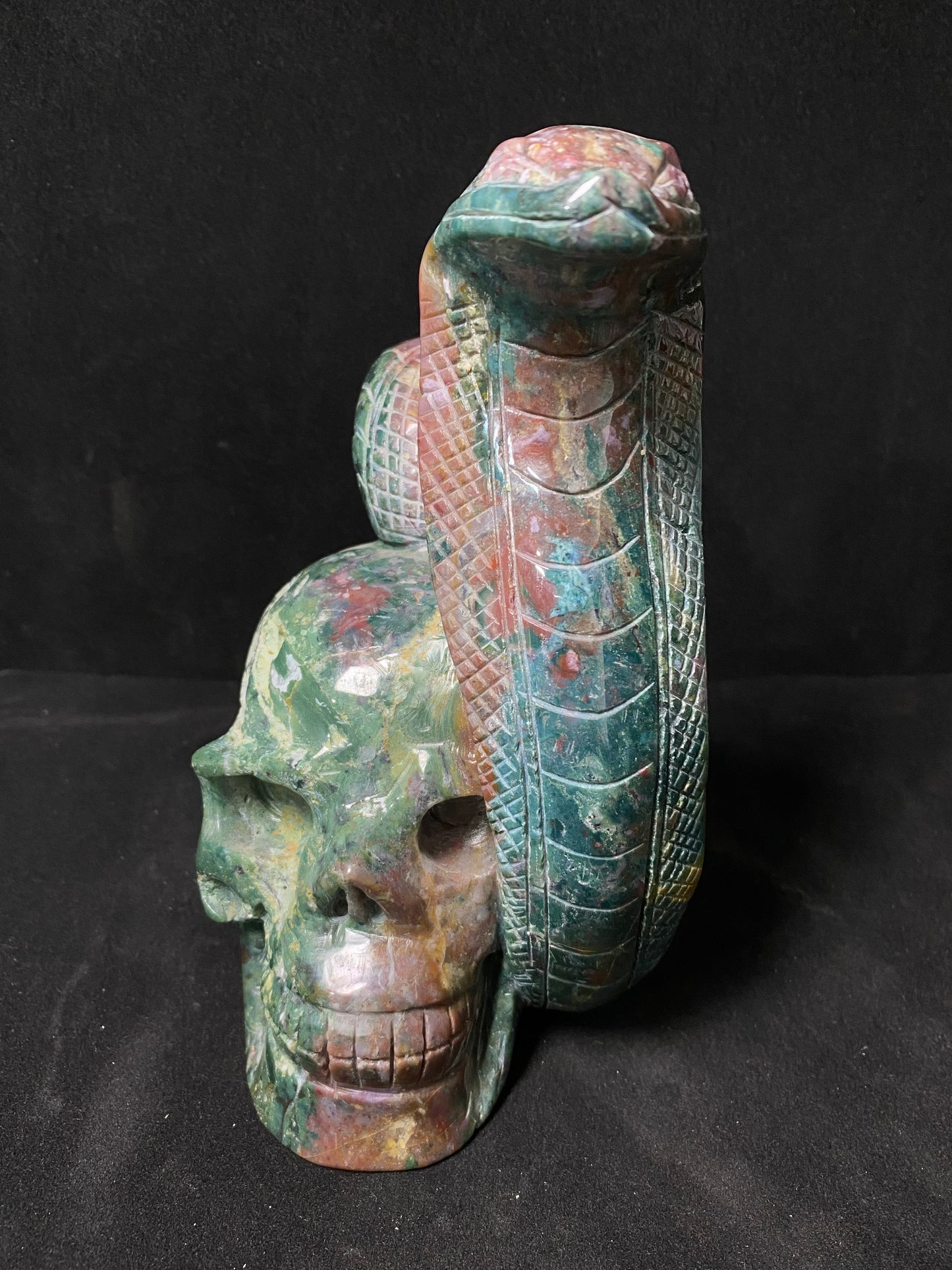 Ocean jasper skull with snake #1124