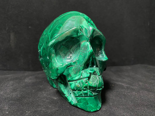 Malachite skull #1529