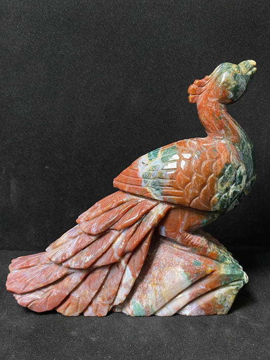 Ocean jasper peacock #1300