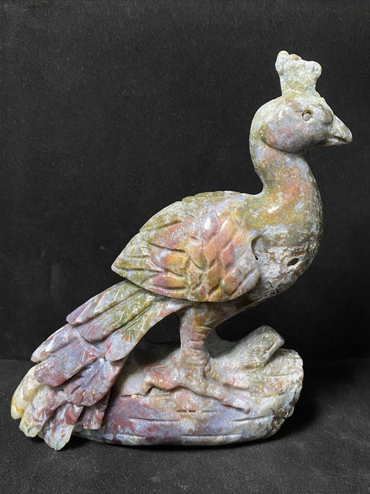 Ocean jasper peacock #1170