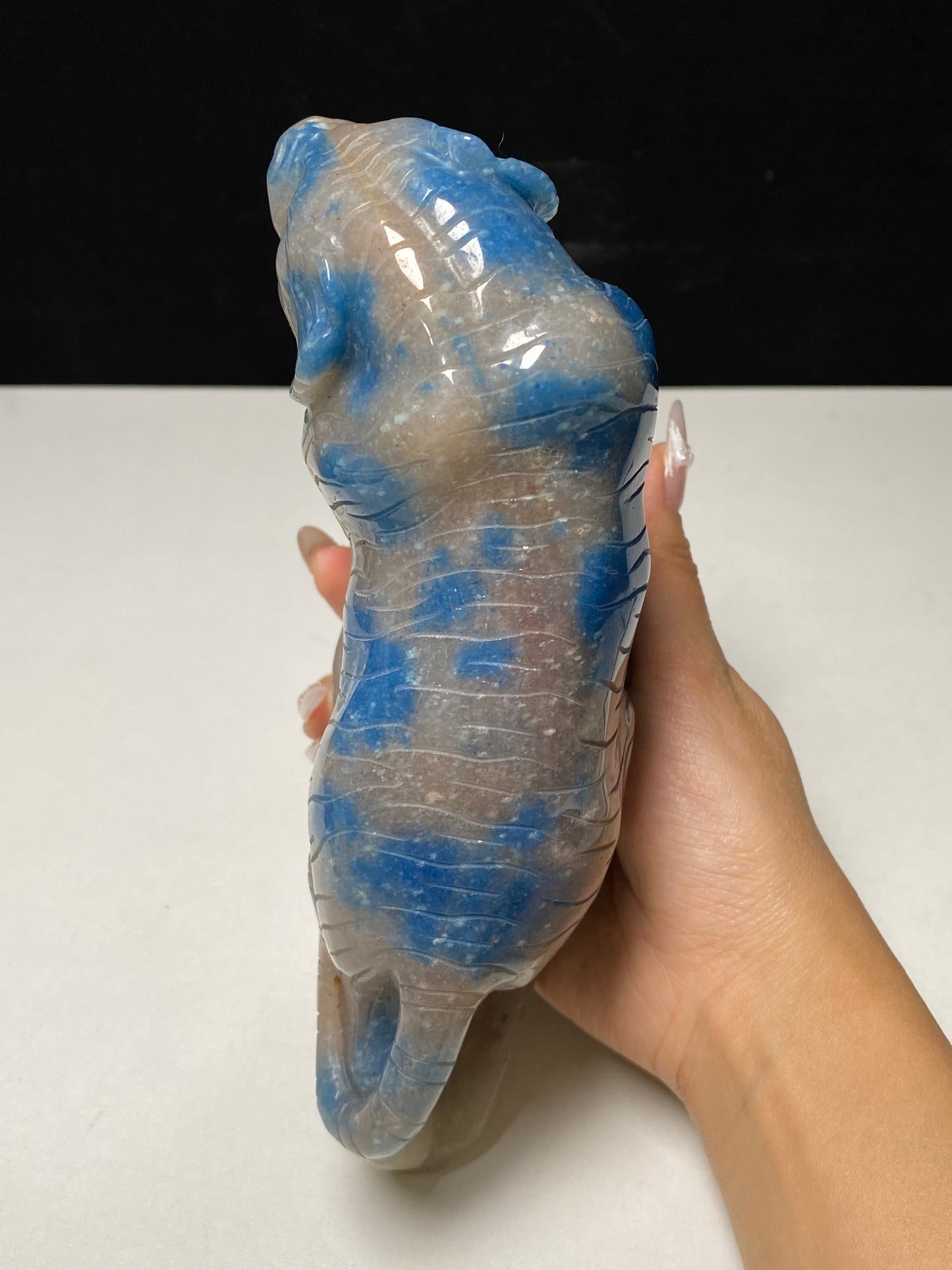 Trolleite tiger on stone carving#1324