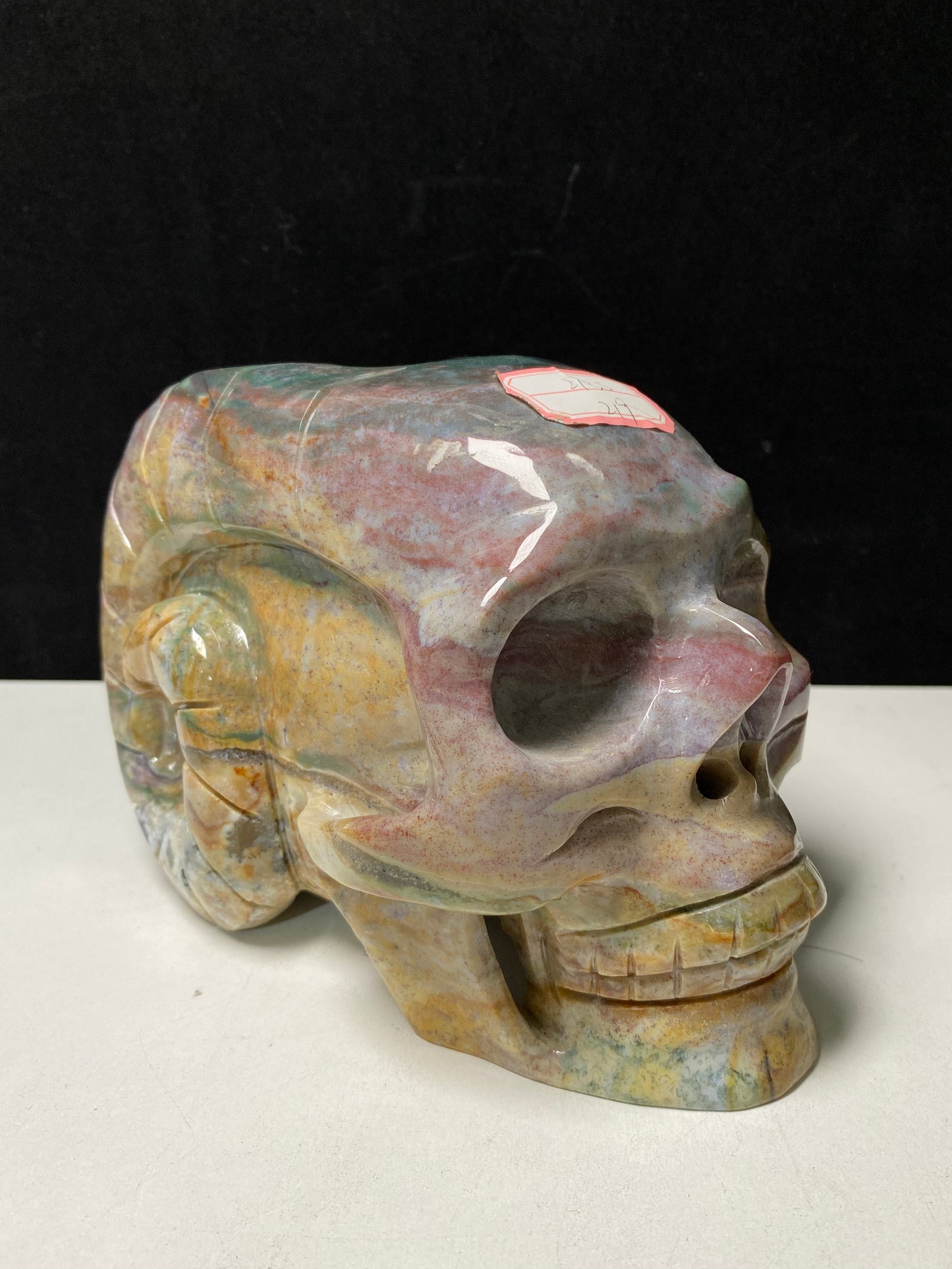 108-Ocean jasper ram skull #2735