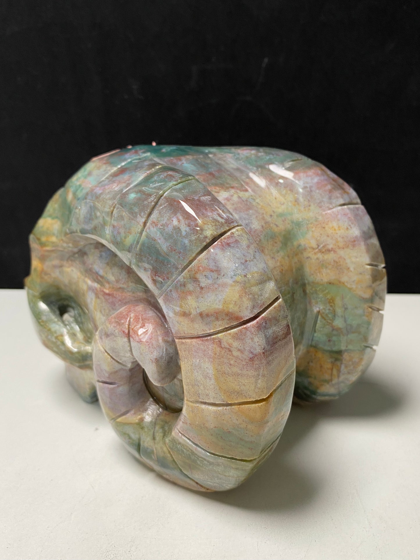 108-Ocean jasper ram skull #2735