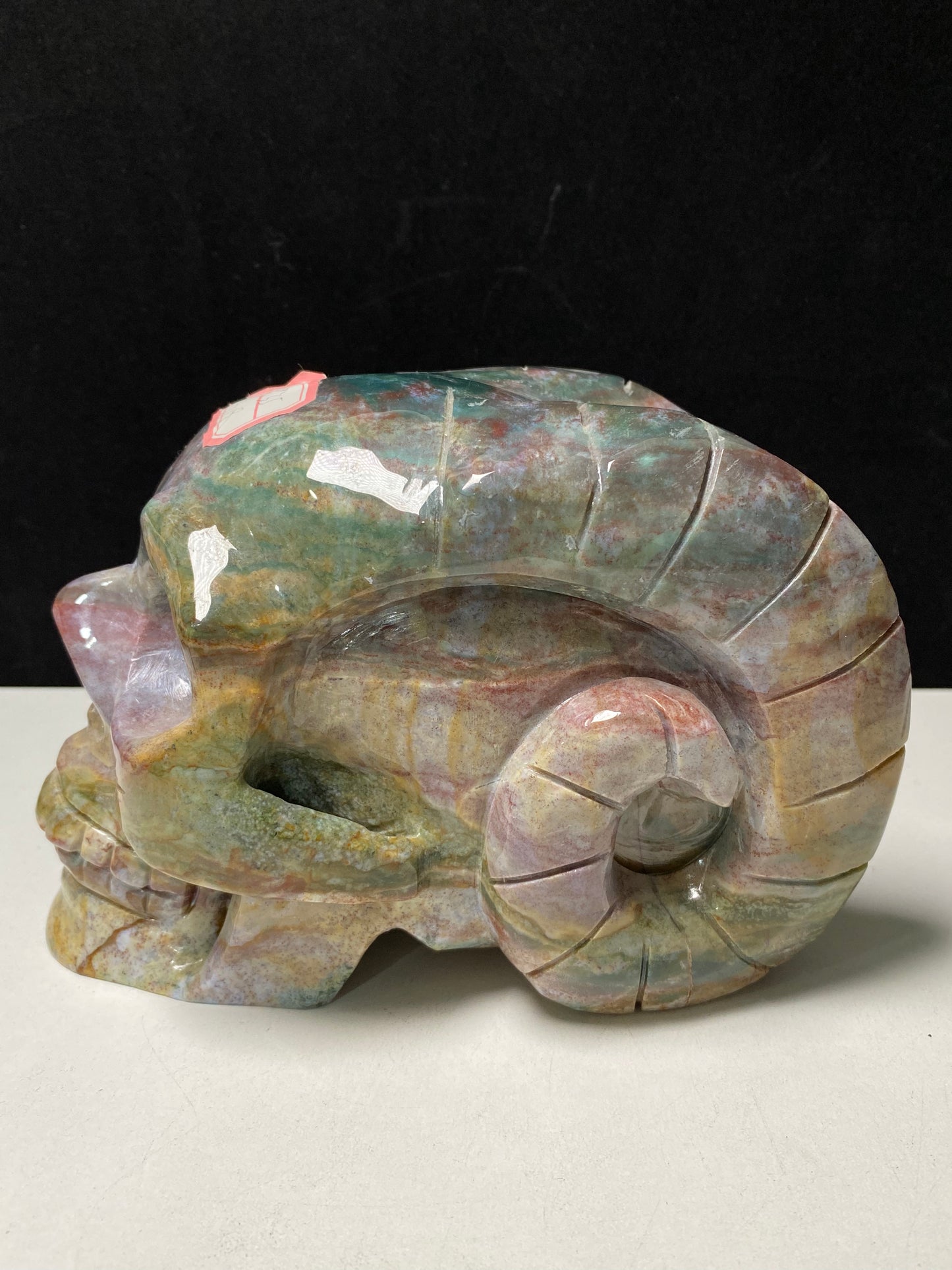 108-Ocean jasper ram skull #2735