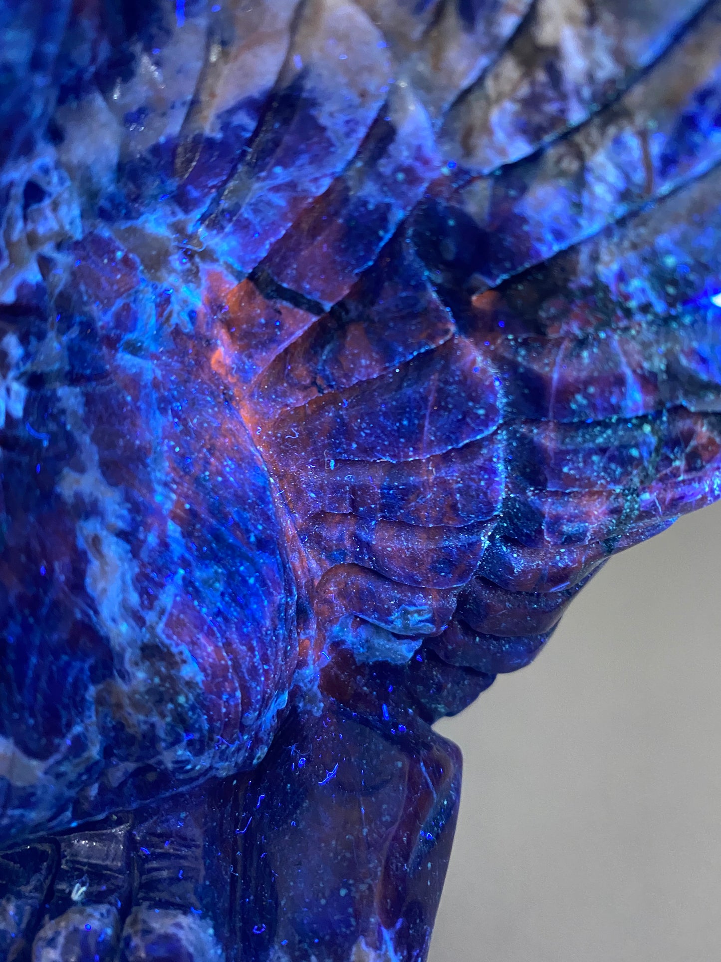 101-Sodalite eagle carving #2254