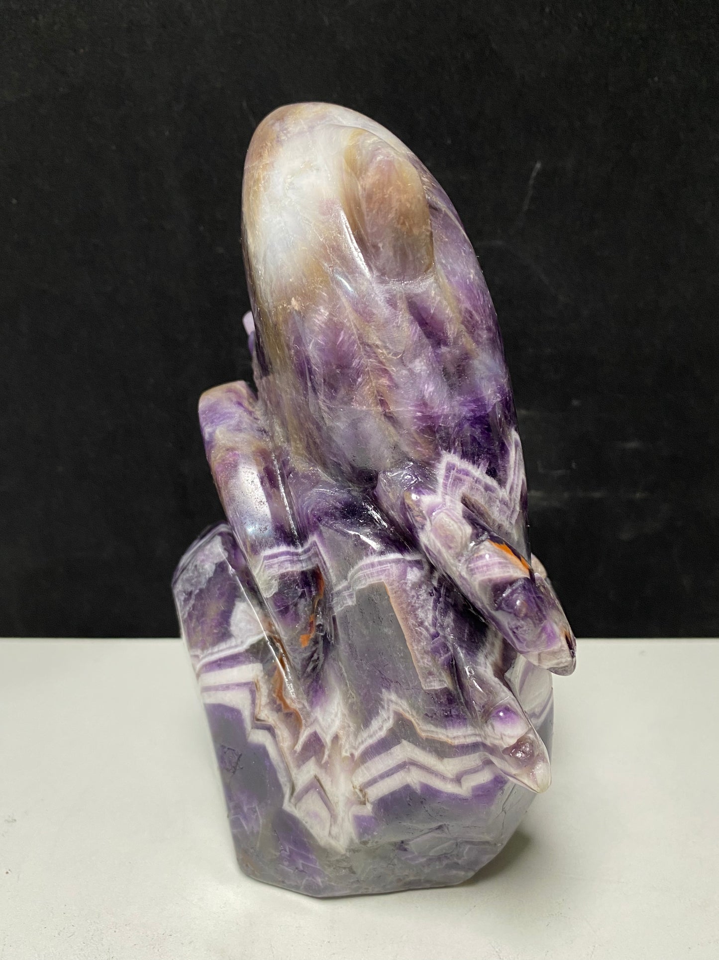 104-Amethyst shark #1603g