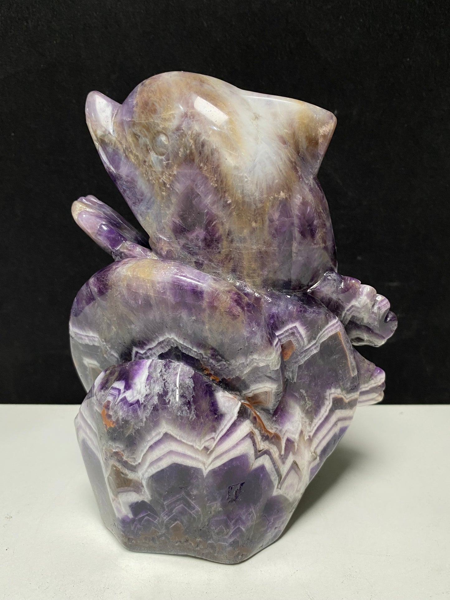 104-Amethyst shark #1603g