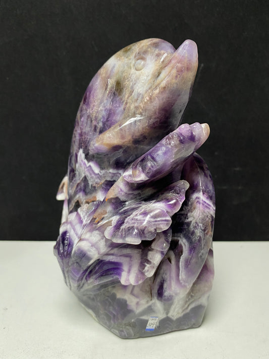 104-Amethyst shark #1603g