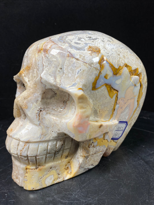 105-Crazy lace agate skull #3352