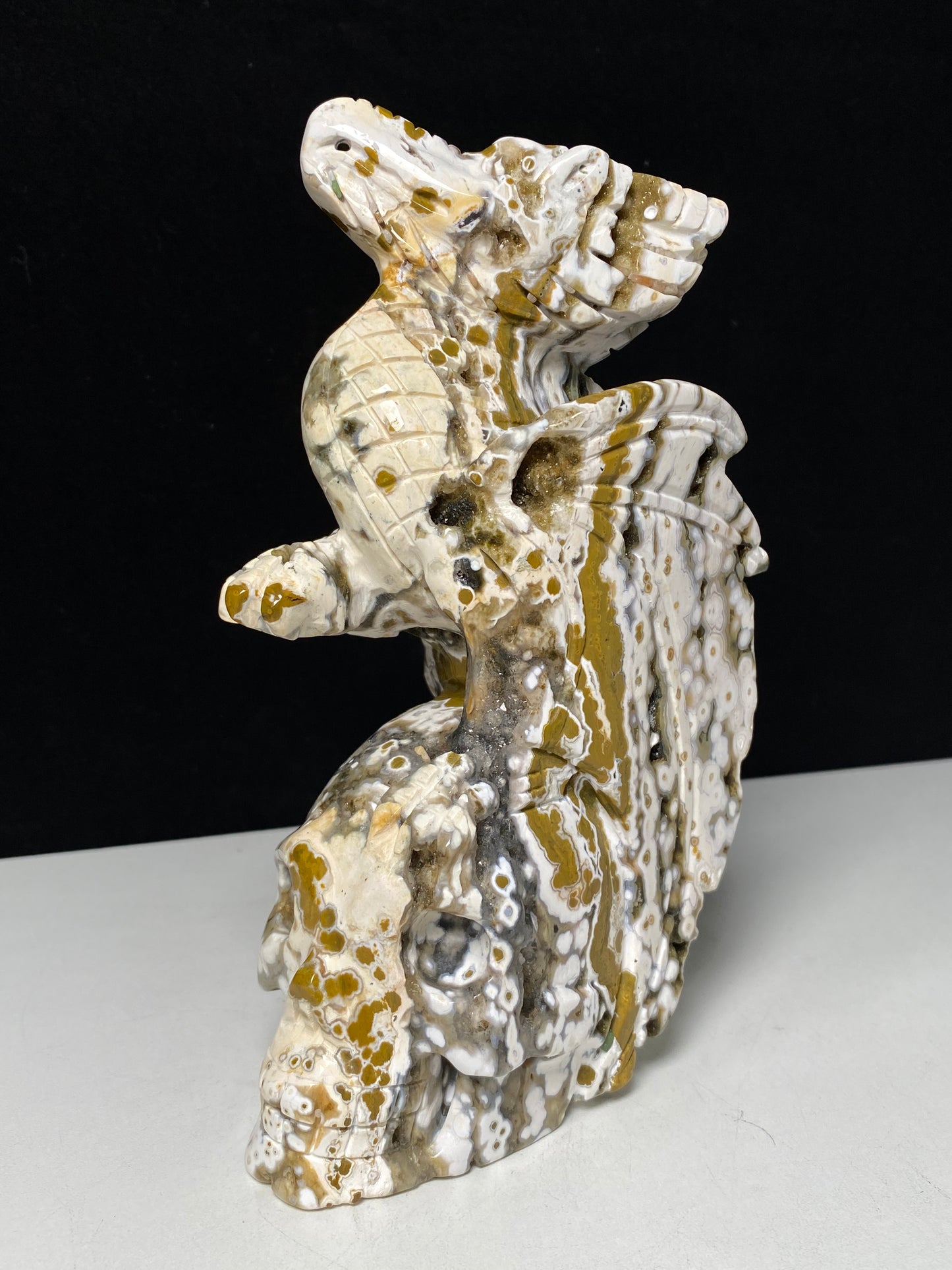 068-Ocean jasper with circles flying dragon on skull carving #1570