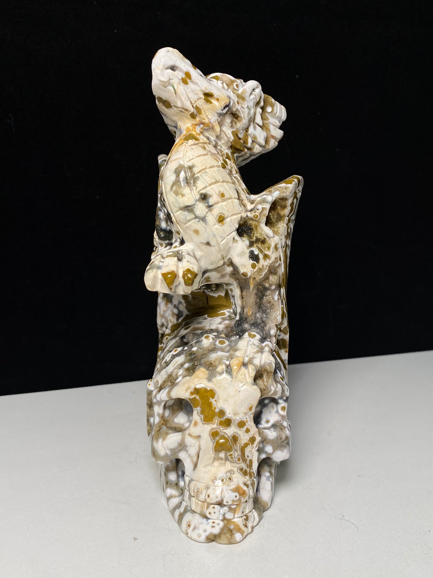068-Ocean jasper with circles flying dragon on skull carving #1570