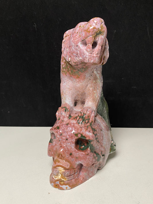 066-Ocean jasper tiger on skull #1088